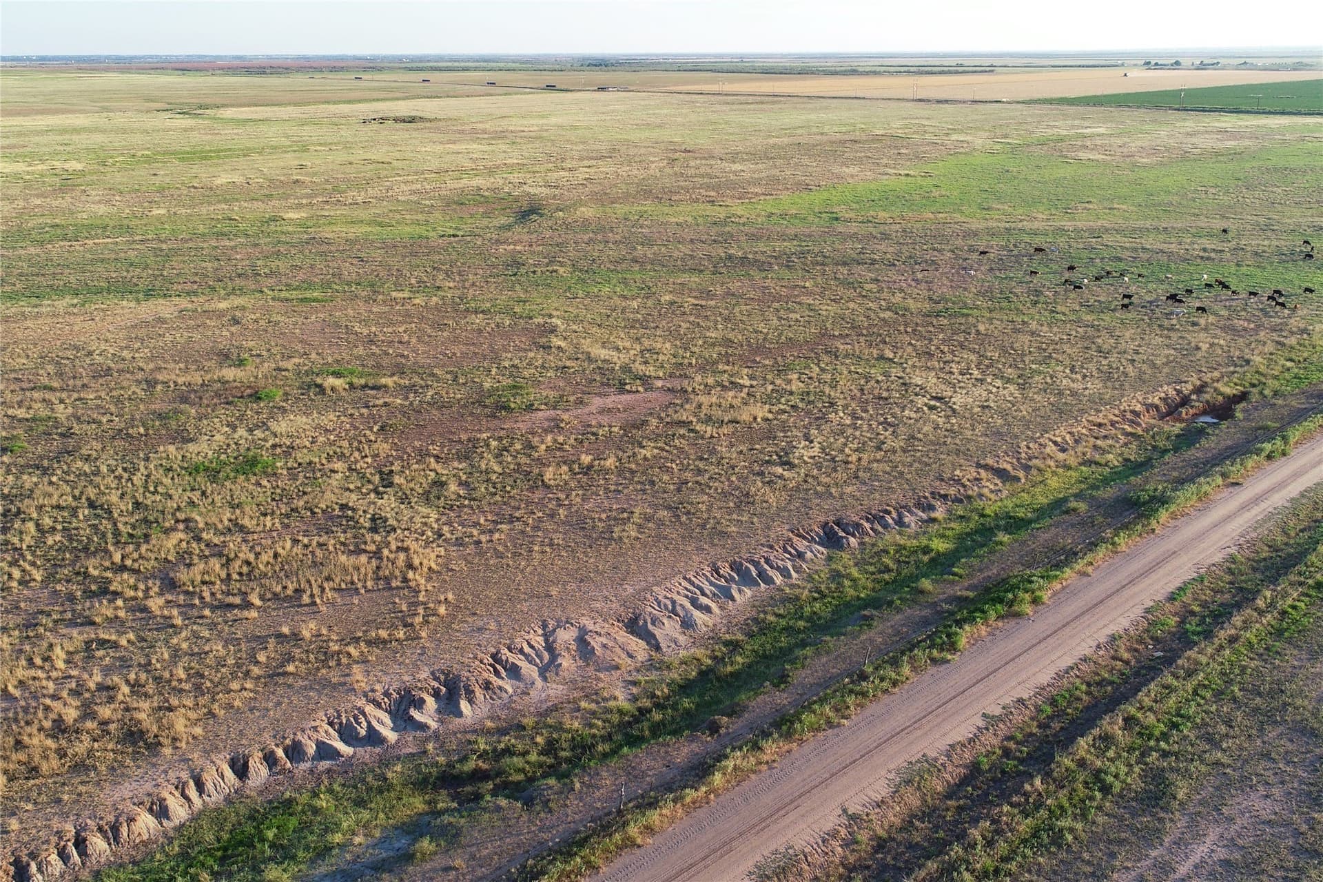 340 acres in Wilbarger County - photo 30