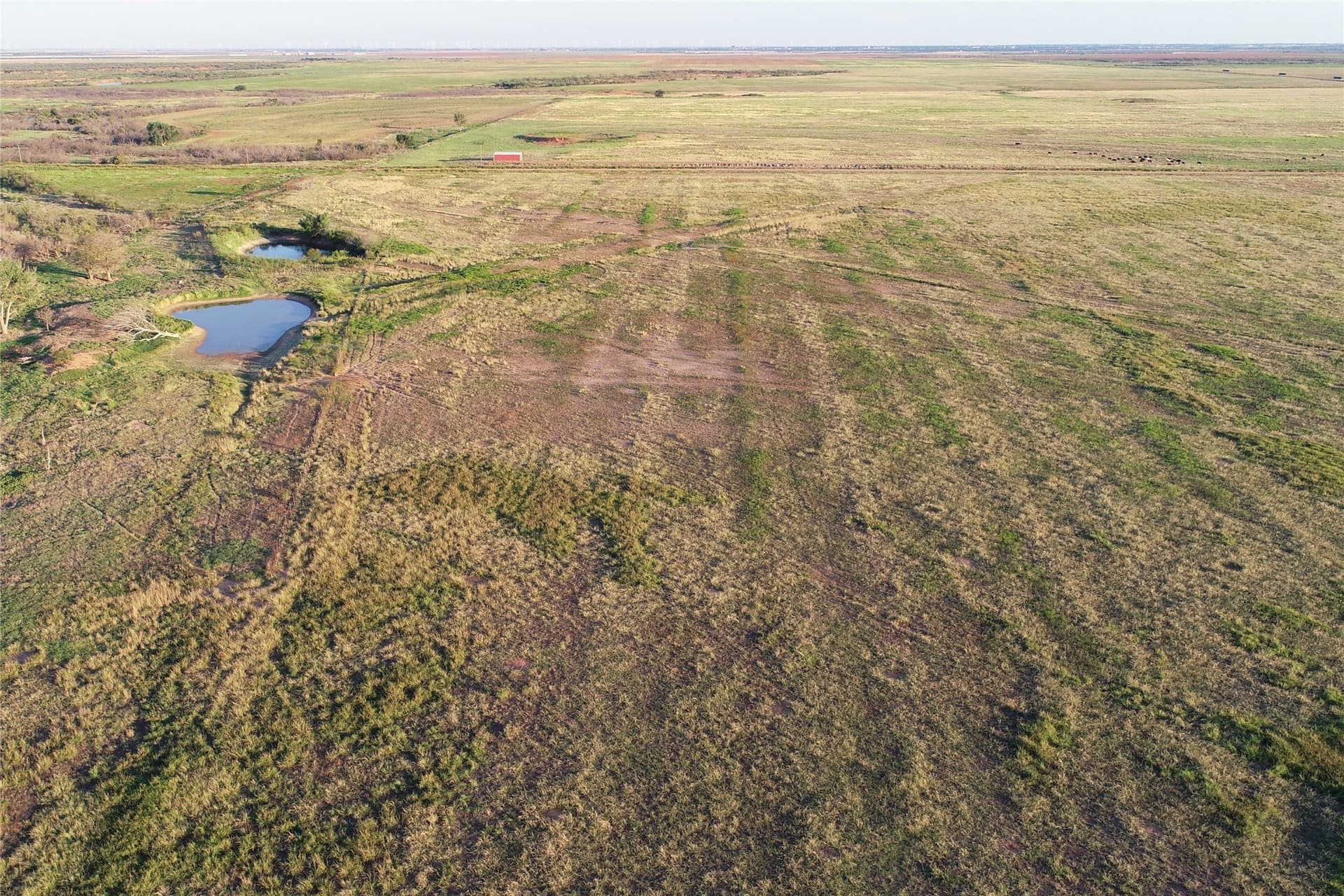 340 acres in Wilbarger County - photo 24