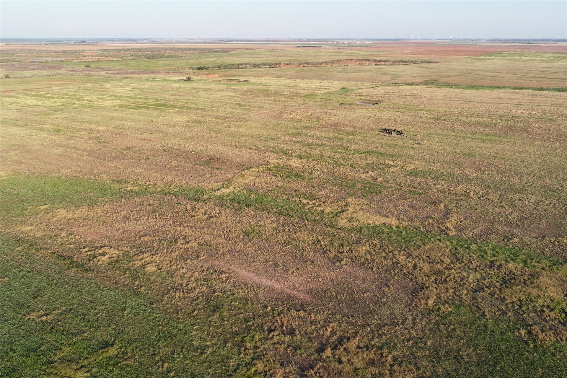 340 acres in Wilbarger County - photo 15