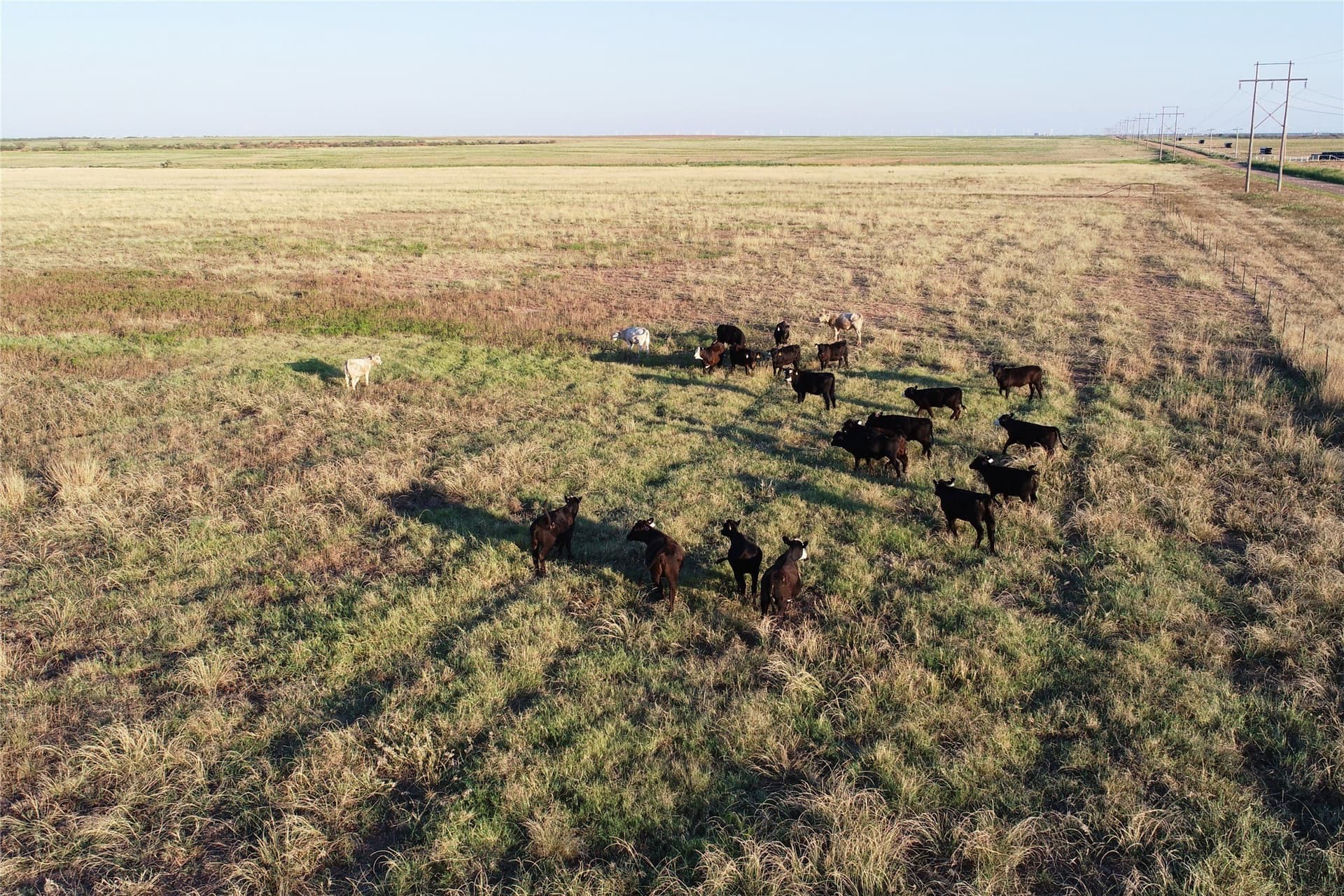 340 acres in Wilbarger County - photo 2