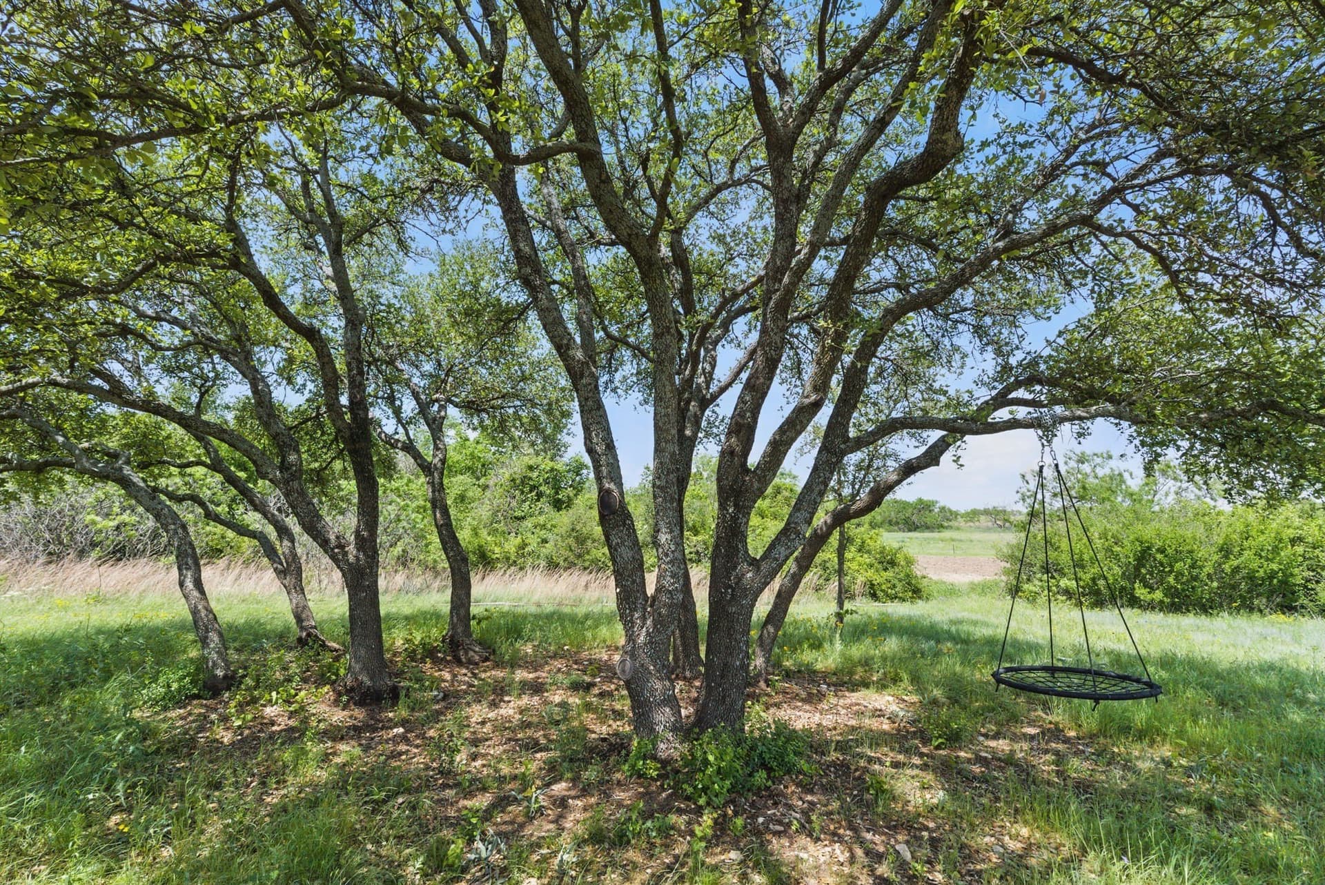 21.67 acres in Comanche County - photo 10