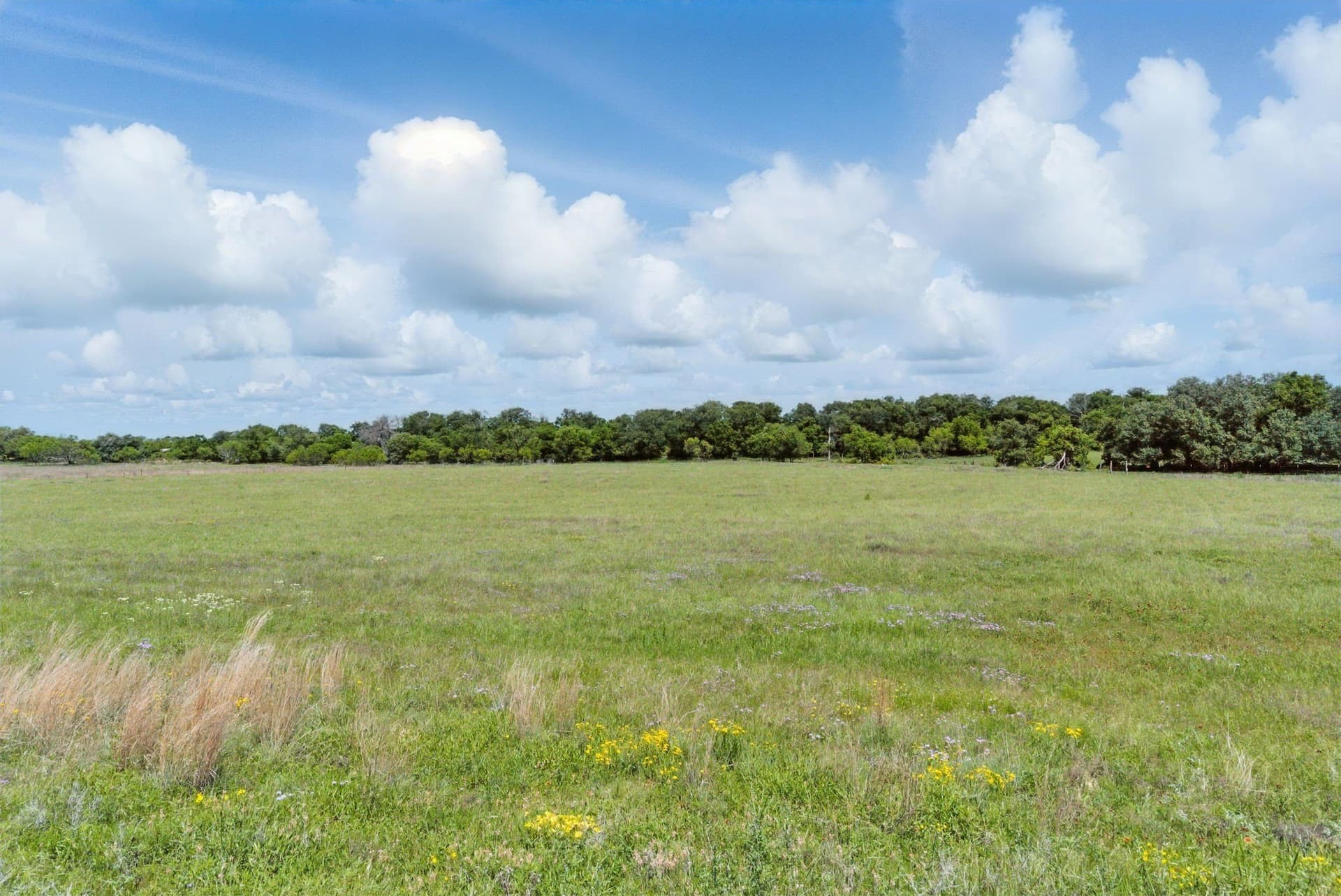 21.67 acres in Comanche County - photo 15