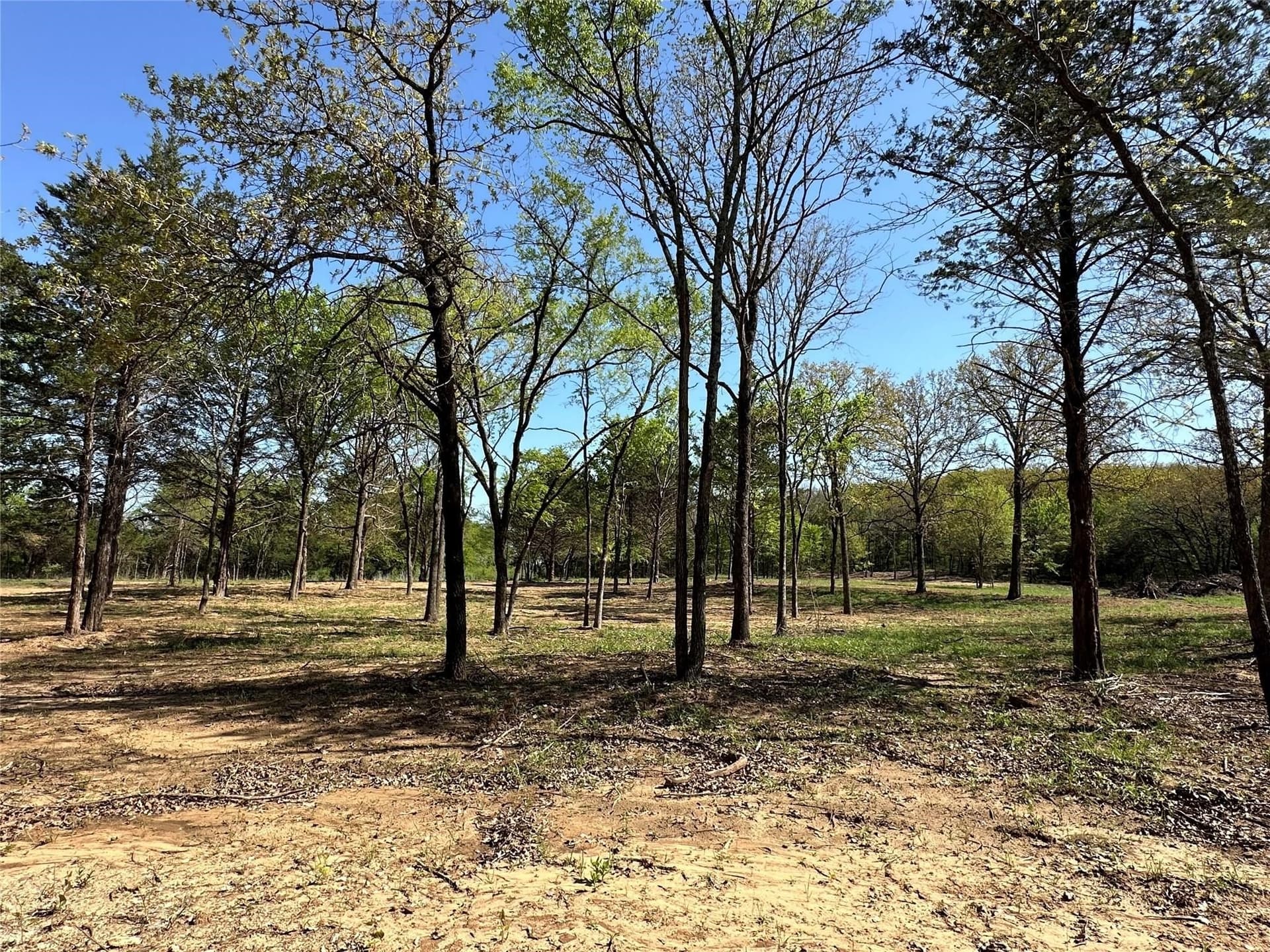 1.25 acres in Cooke County gallery image 3