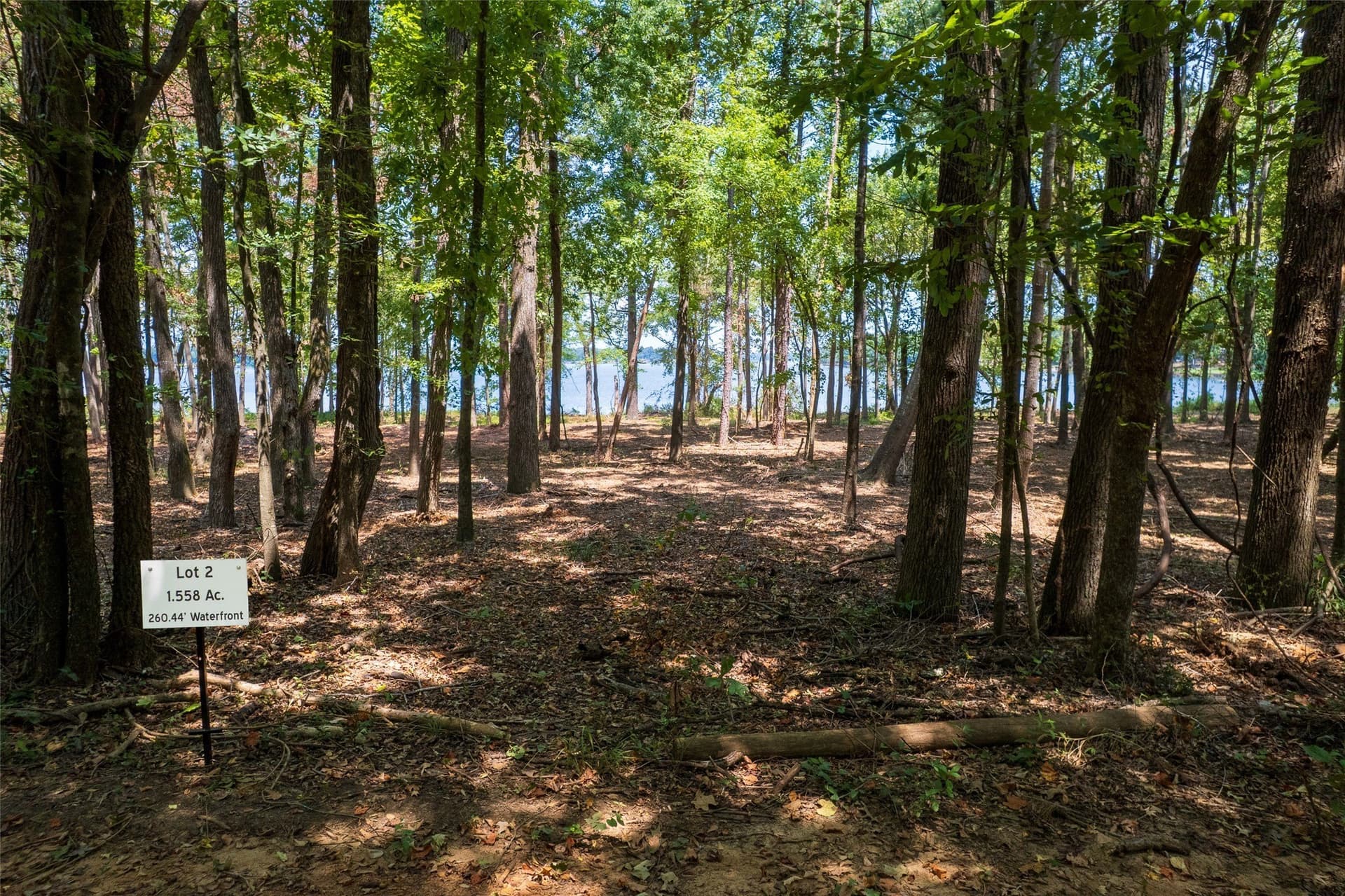 1.56 acres in Camp County