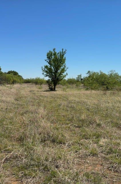 10.12 acres in Erath County - photo 7