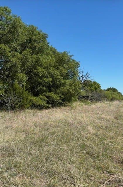 10.12 acres in Erath County - photo 8