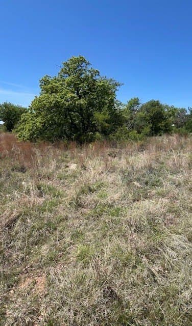 10.12 acres in Erath County - photo 5