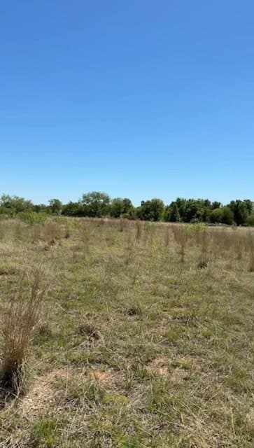 10.12 acres in Erath County - photo 9