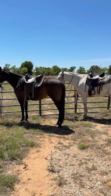 10.12 acres in Erath County - photo 10