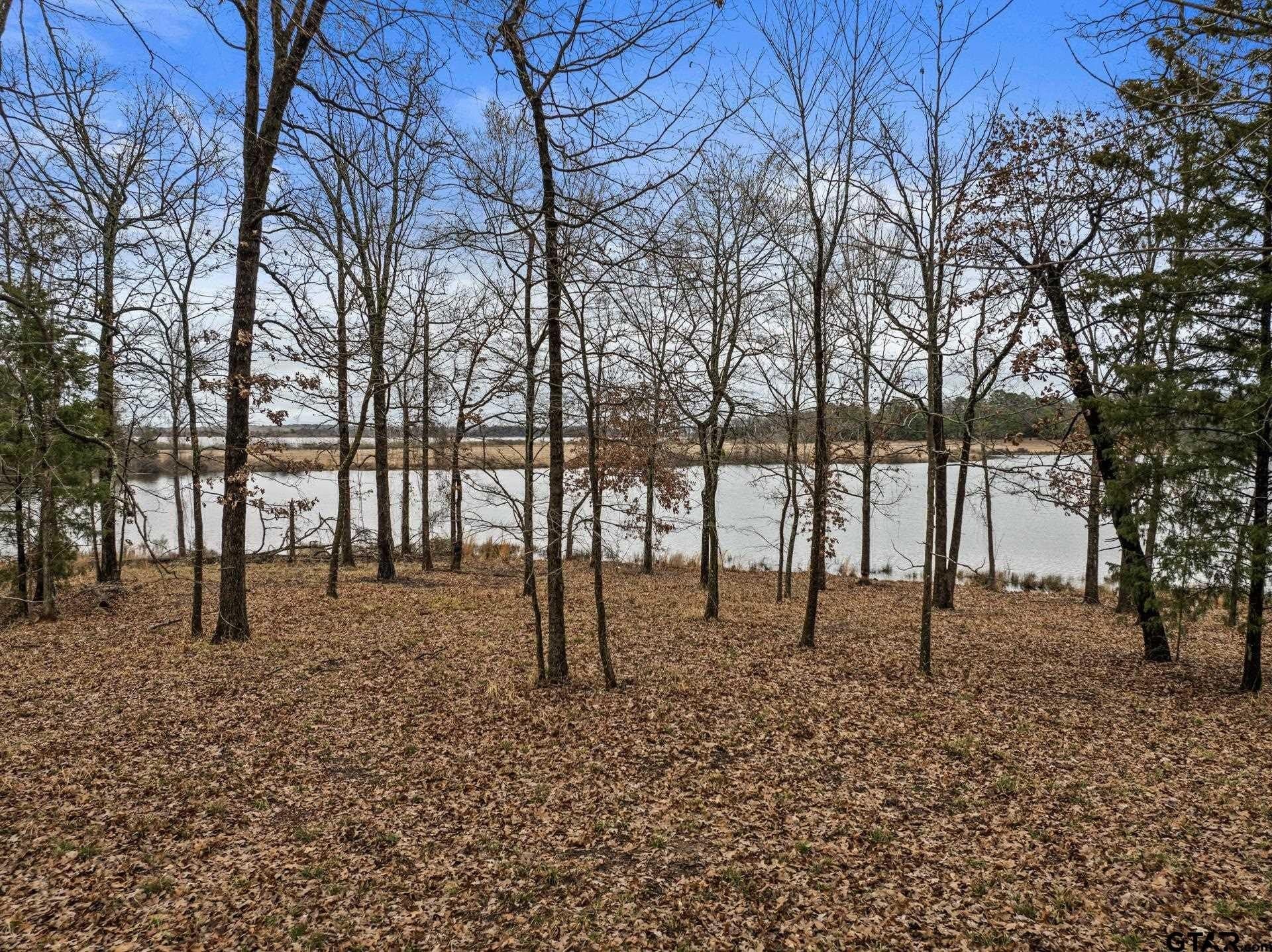 1.09 acres in Titus County - photo 6