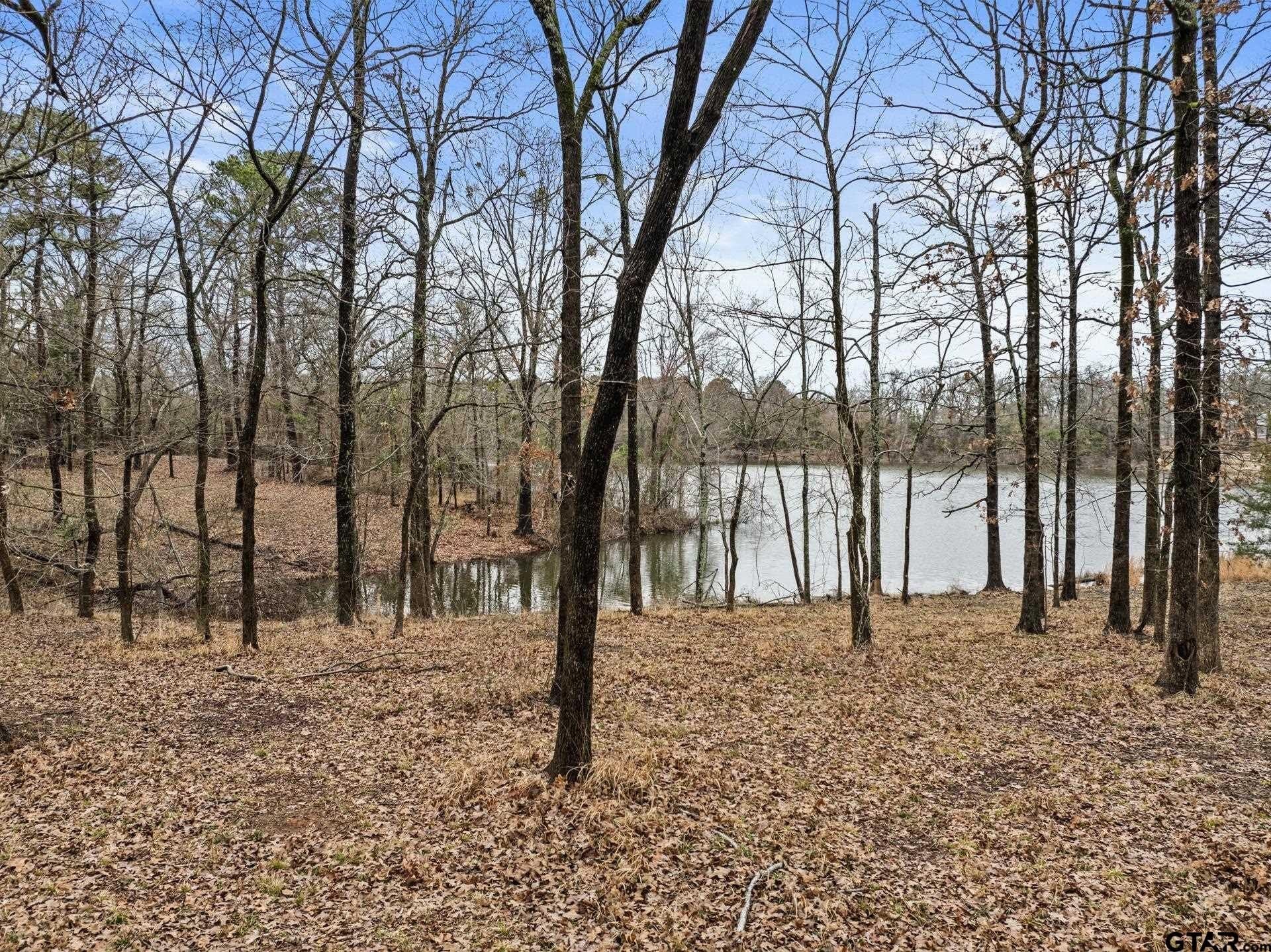 1.09 acres in Titus County - photo 7