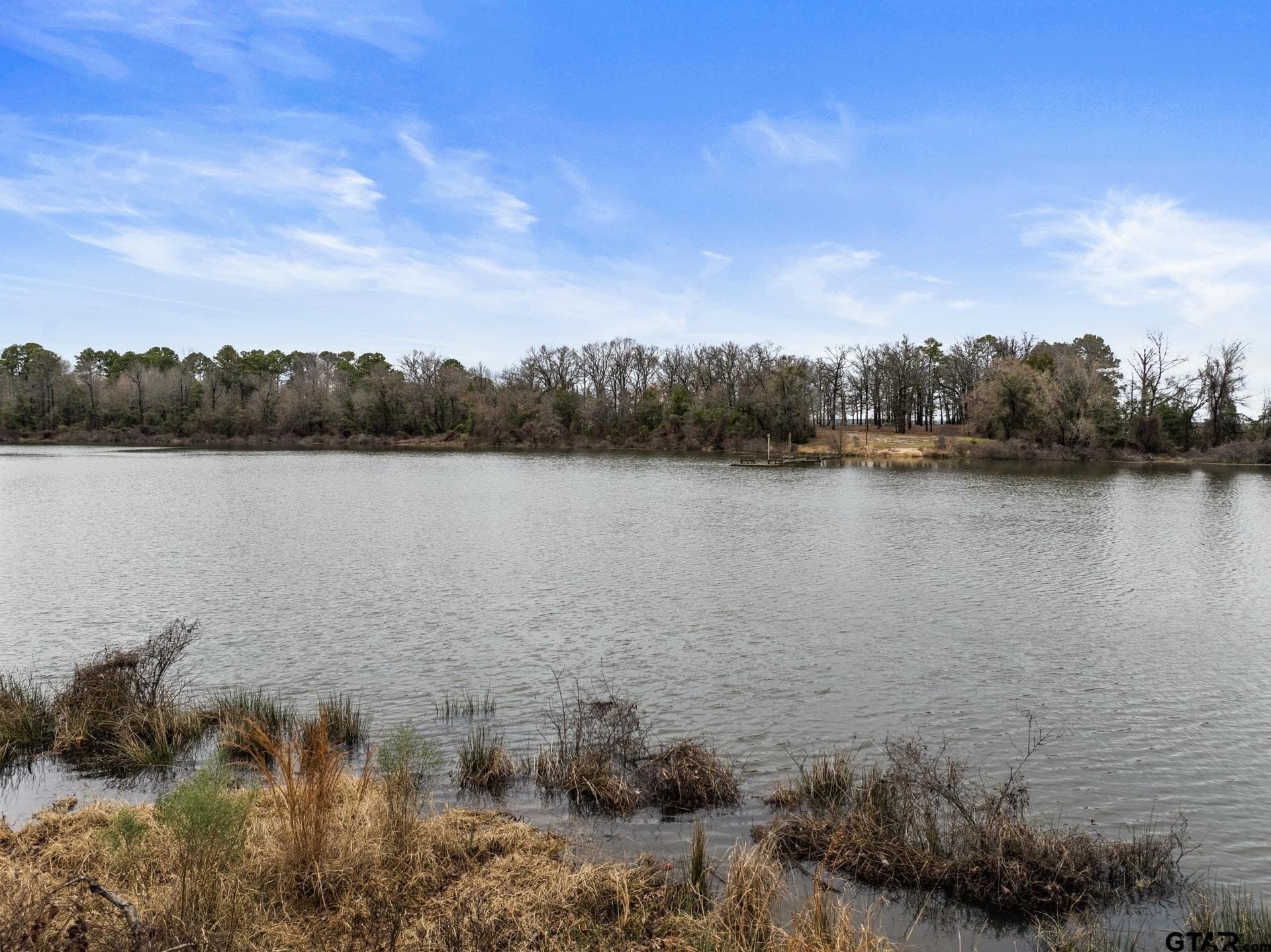 1.09 acres in Titus County - photo 8