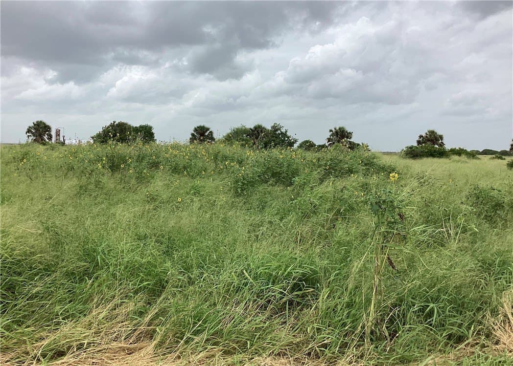 2.62 acres in Kleberg County gallery image 4