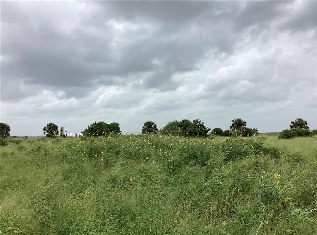 2.62 acres in Kleberg County - photo 7