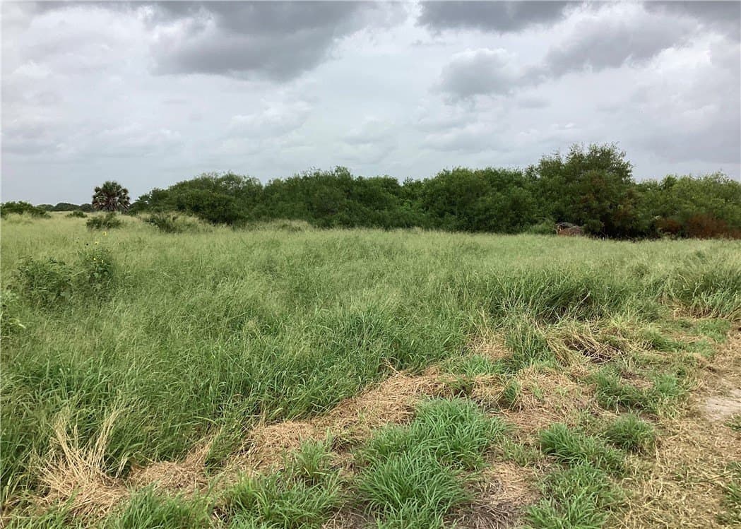 2.62 acres in Kleberg County gallery image 3