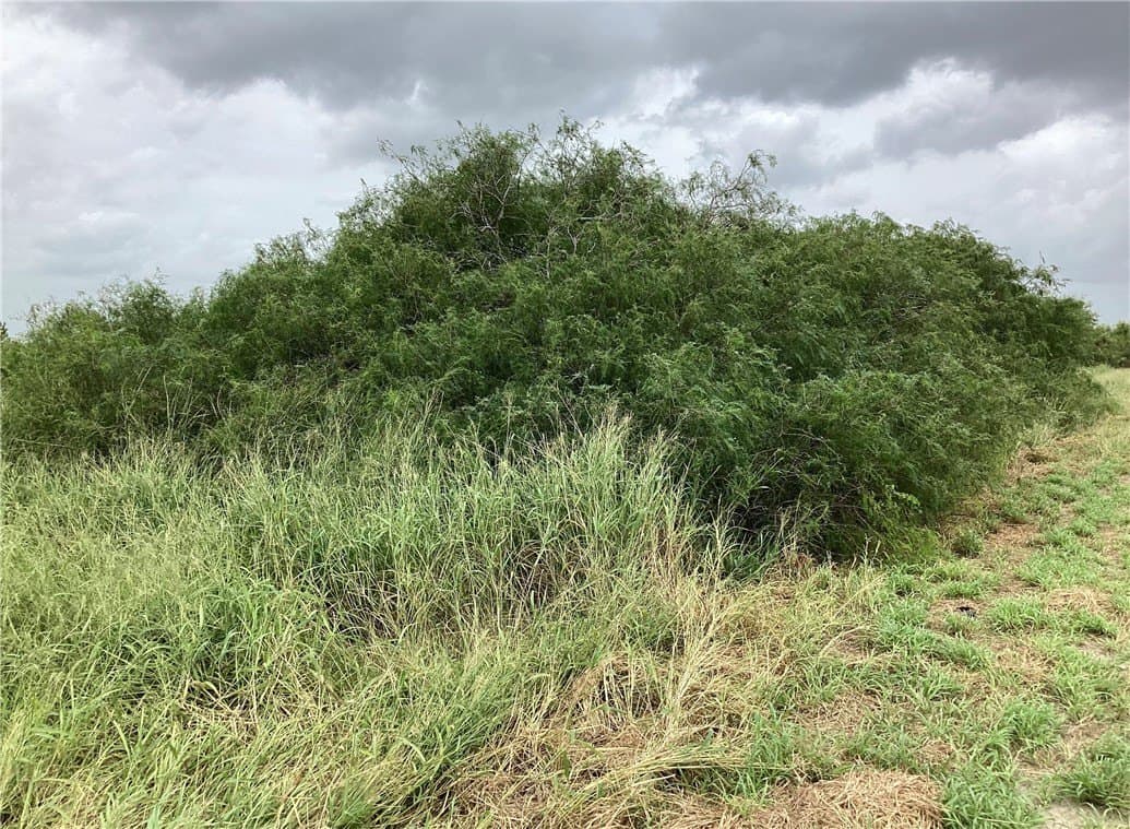 2.62 acres in Kleberg County