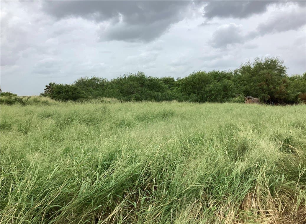 2.62 acres in Kleberg County gallery image 2
