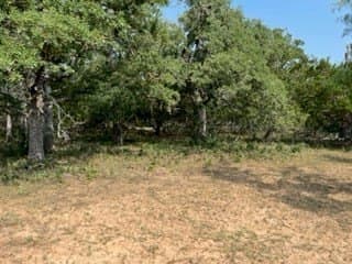 20.4 acres in Gillespie County gallery image 4