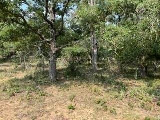 20.4 acres in Gillespie County