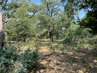 20.4 acres in Gillespie County gallery image 3