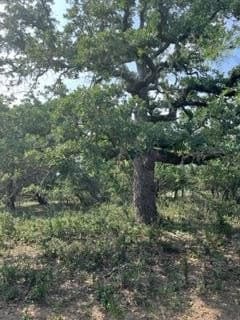 20.4 acres in Gillespie County gallery image 2