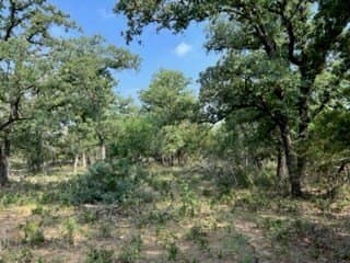 20.4 acres in Gillespie County featured view