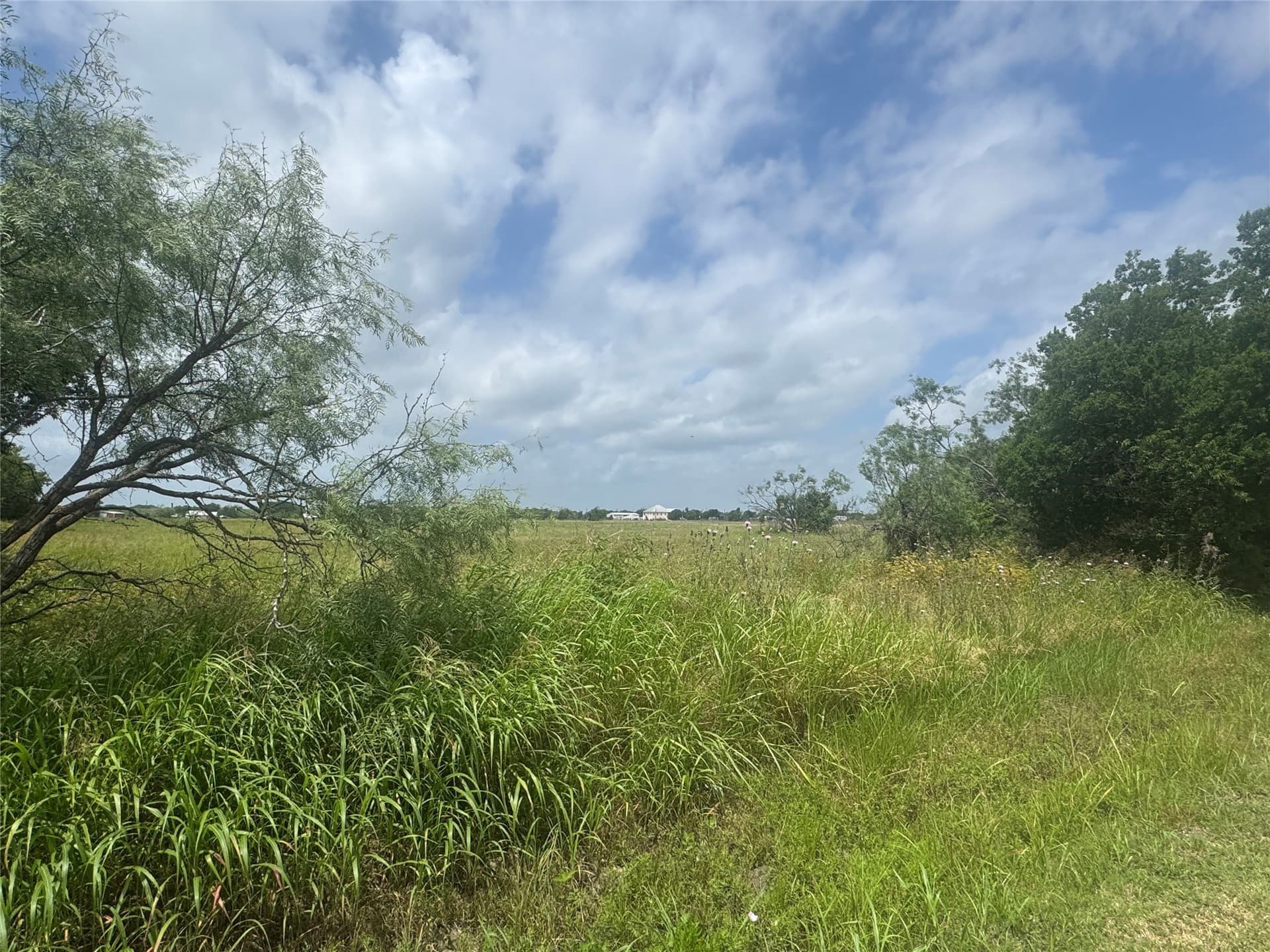 10 acres in Kaufman County - photo 15