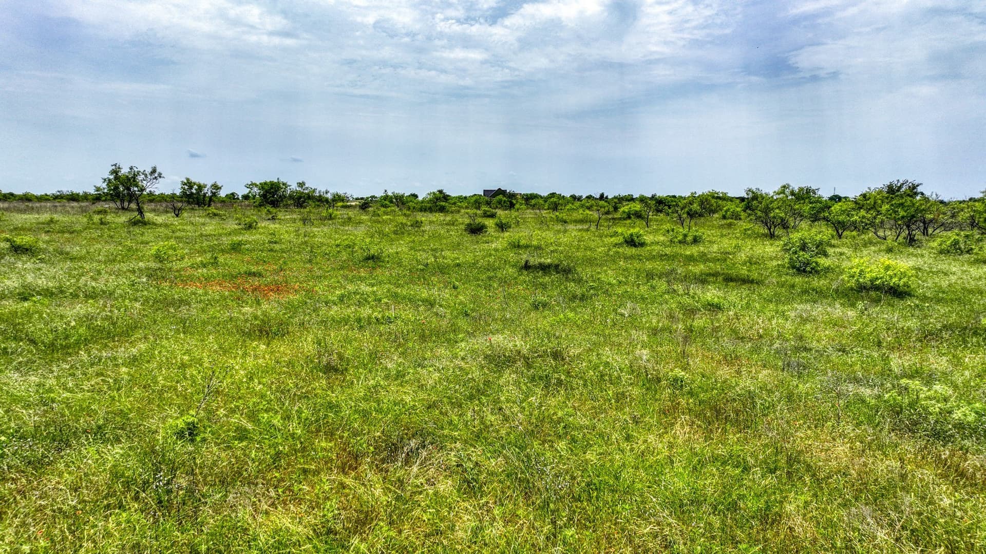 4.51 acres in Parker County - photo 3