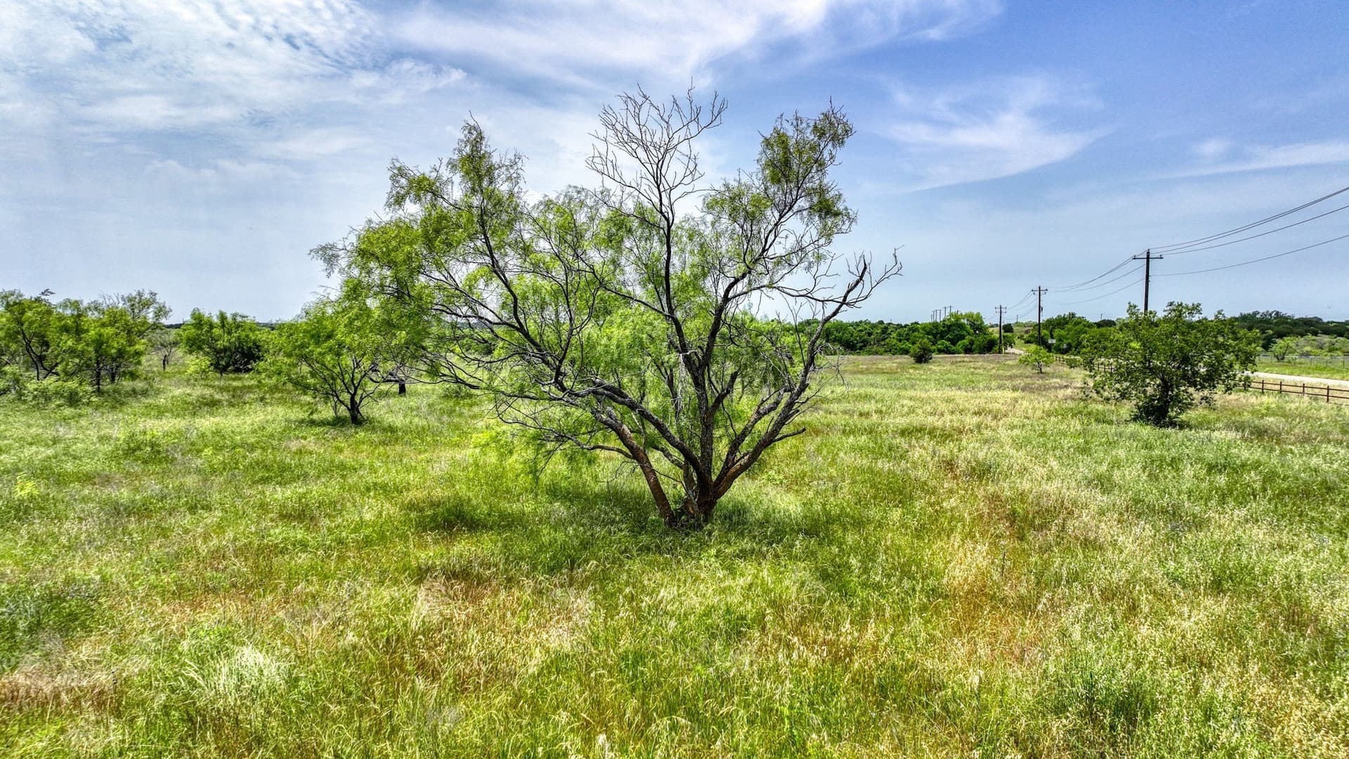4.51 acres in Parker County - photo 4