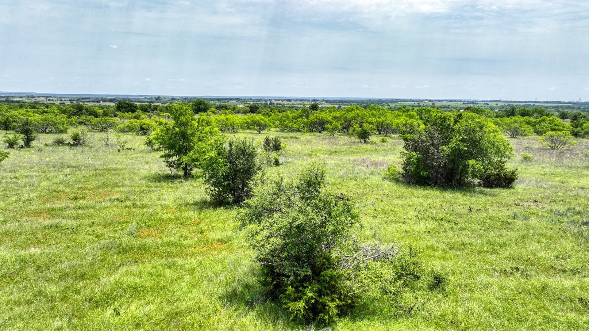 4.51 acres in Parker County - photo 6