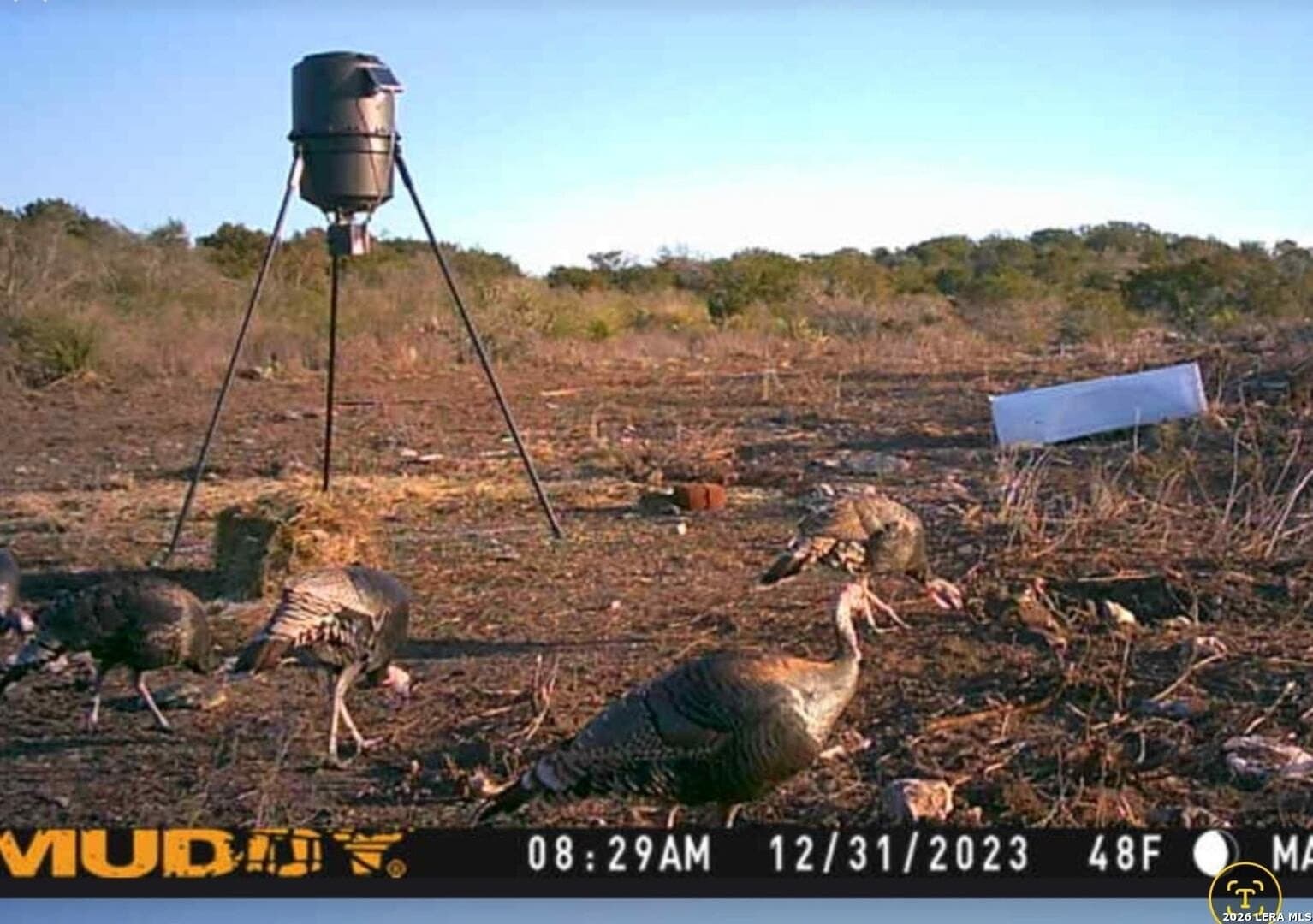 20.01 acres in Uvalde County - photo 13