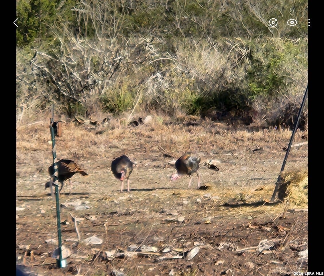 20.01 acres in Uvalde County - photo 7