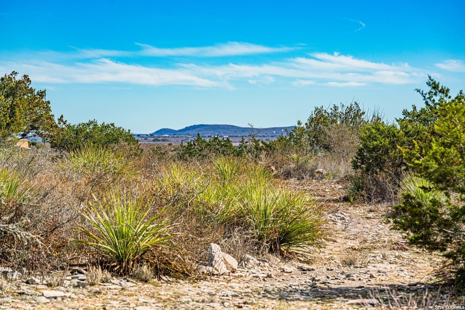 20.01 acres in Uvalde County - photo 8