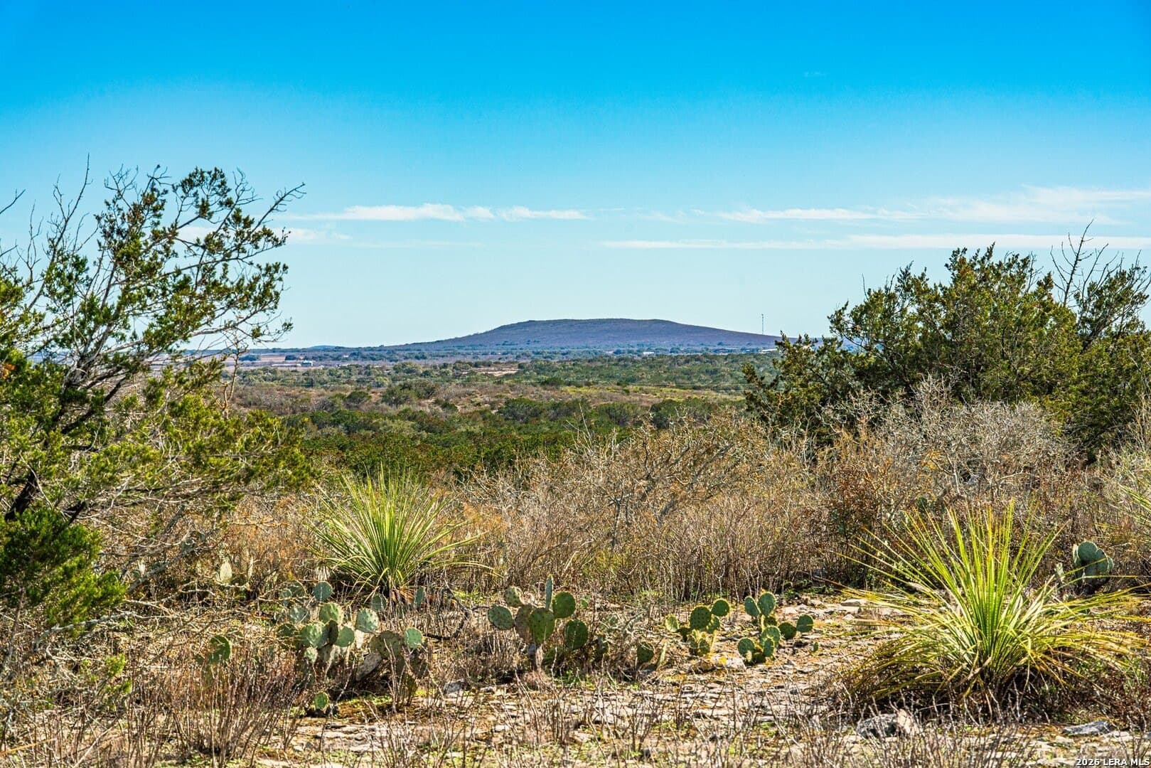 20.01 acres in Uvalde County gallery image 2