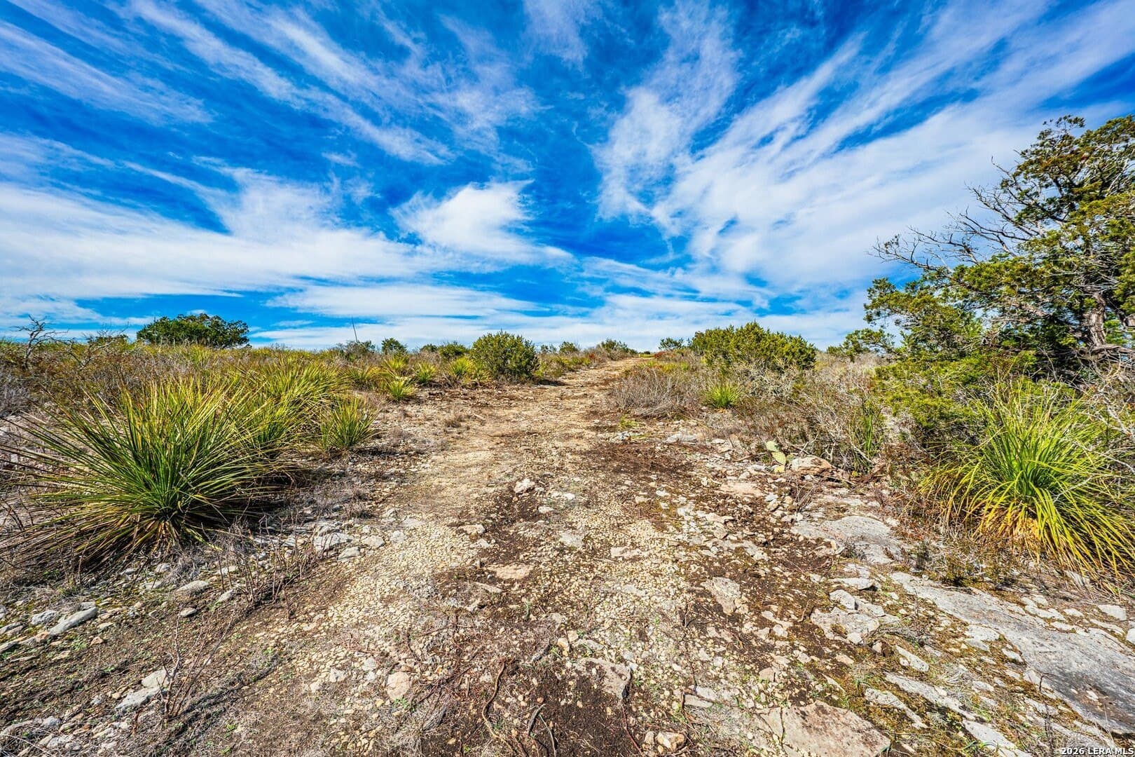 20.01 acres in Uvalde County - photo 10