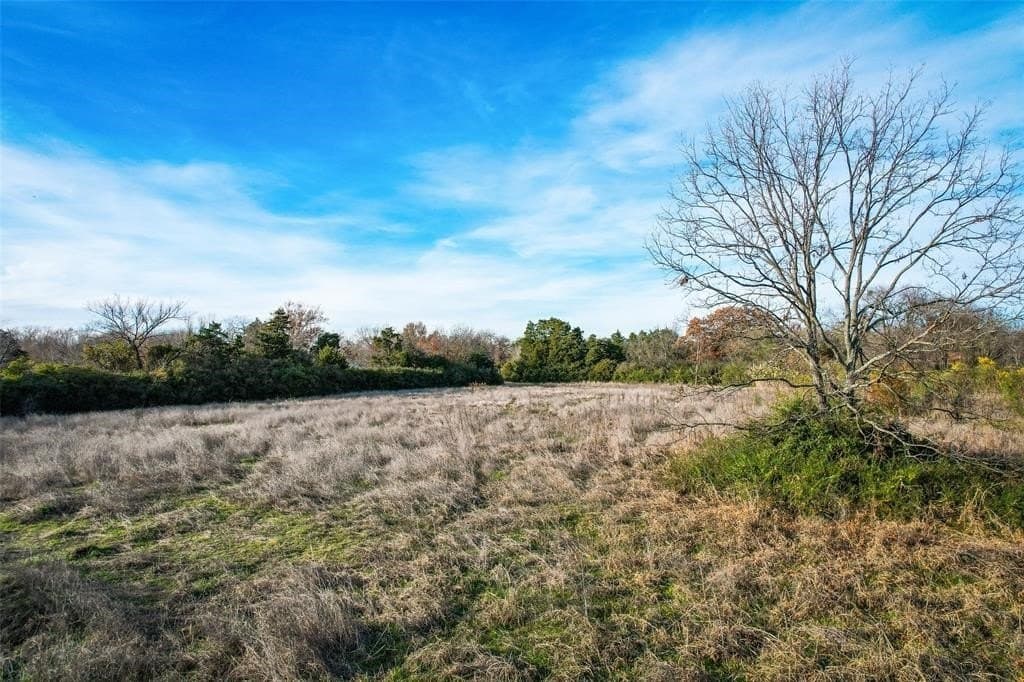 3.47 acres in Dallas County - photo 5
