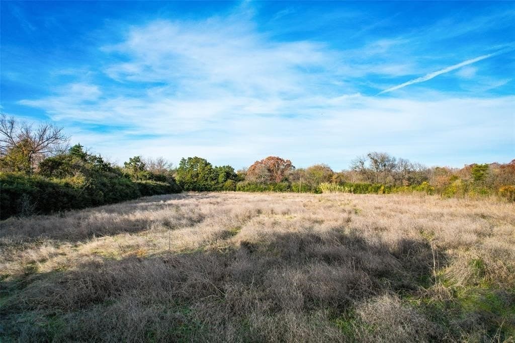 3.47 acres in Dallas County - photo 4