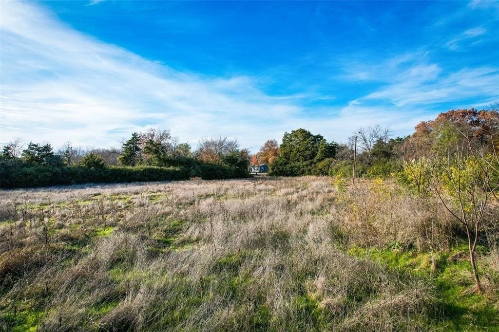 3.47 acres in Dallas County - photo 3