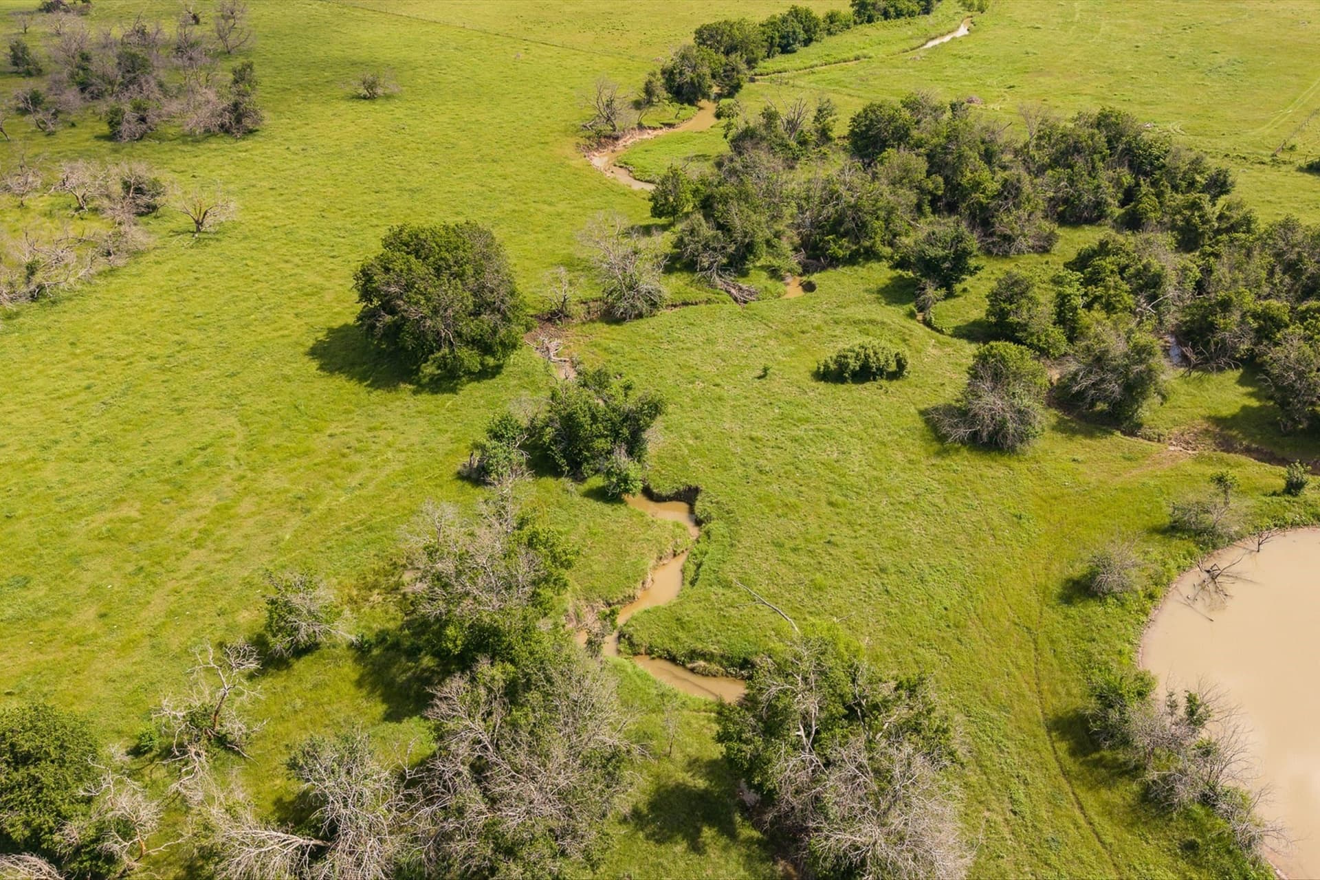 132 acres in Johnson County - photo 2