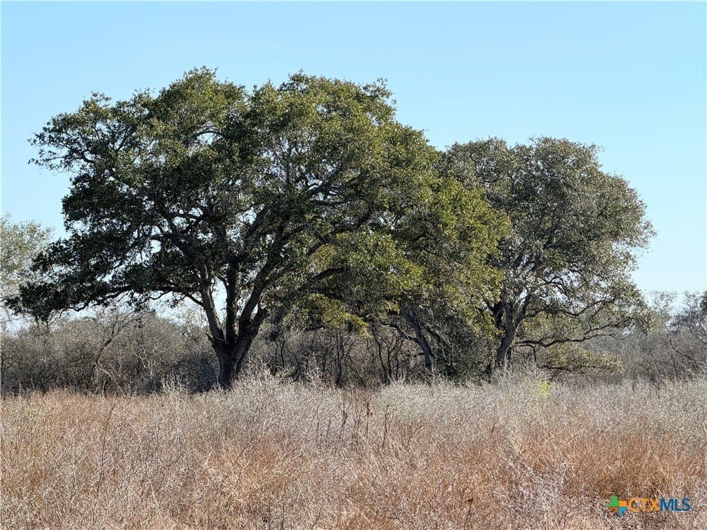 5.98 acres in Goliad County gallery image 2