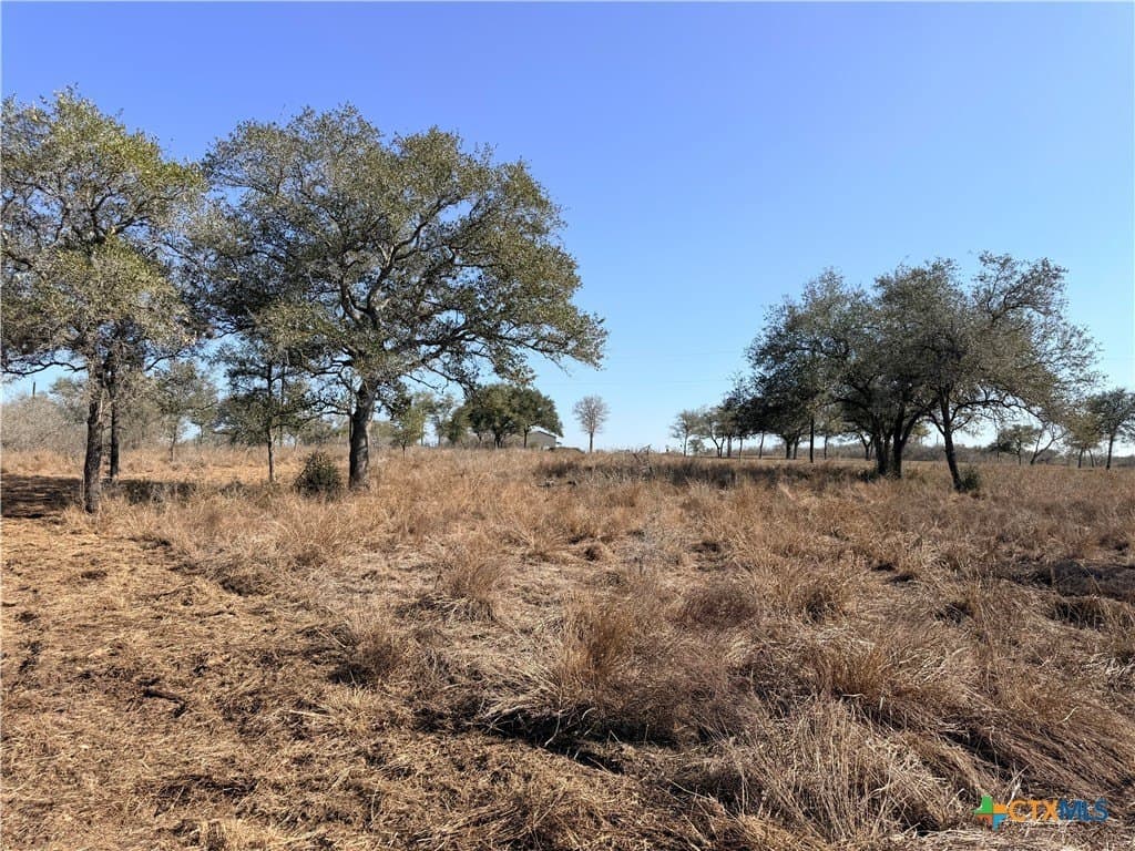 5.98 acres in Goliad County gallery image 3