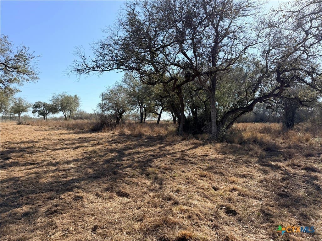 5.98 acres in Goliad County - photo 7