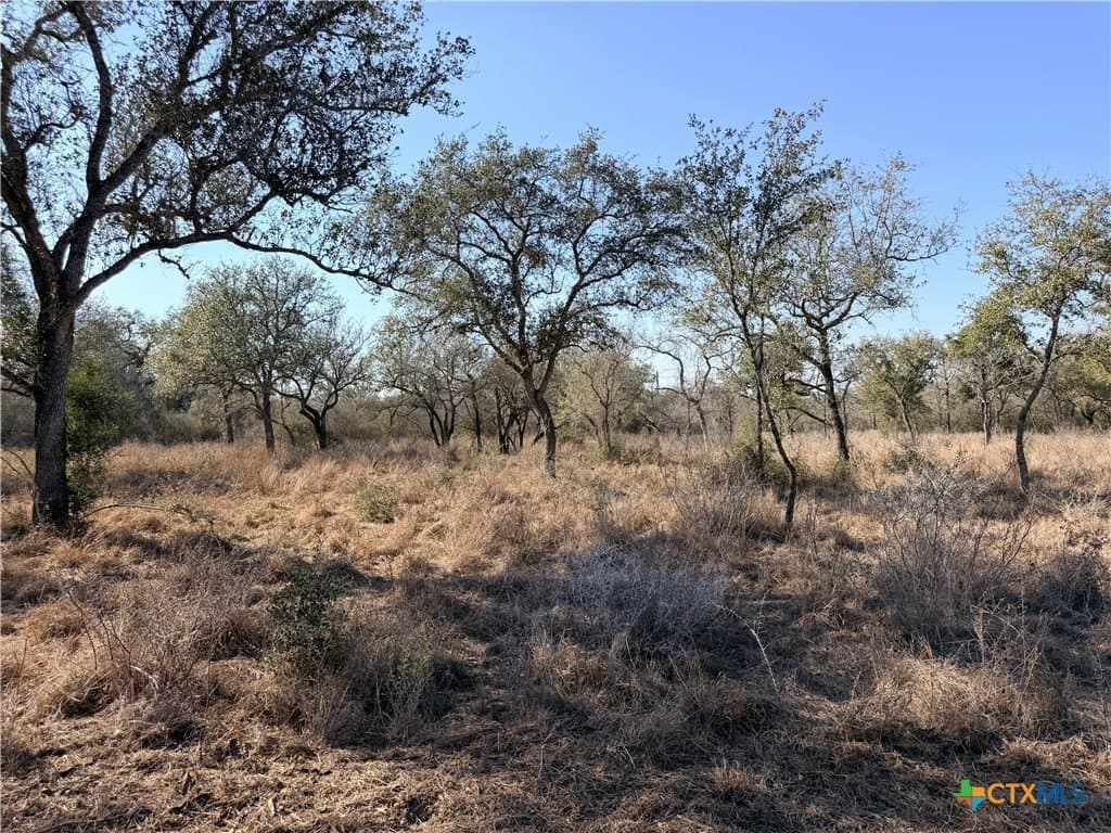 5.98 acres in Goliad County - photo 6