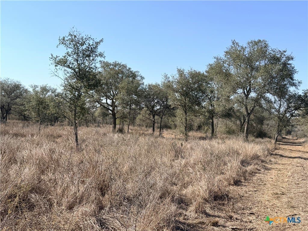 5.98 acres in Goliad County gallery image 4