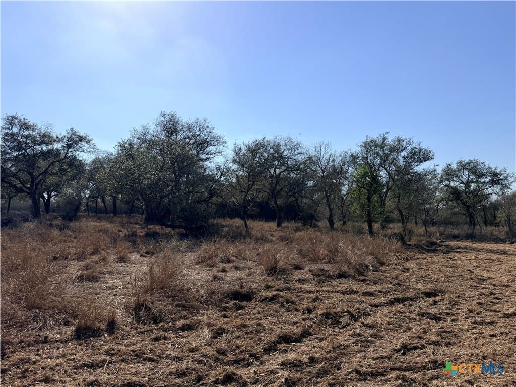 5.98 acres in Goliad County featured view