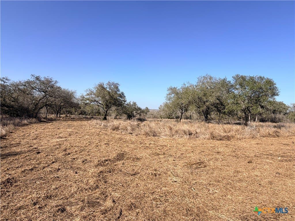 5.98 acres in Goliad County - photo 8