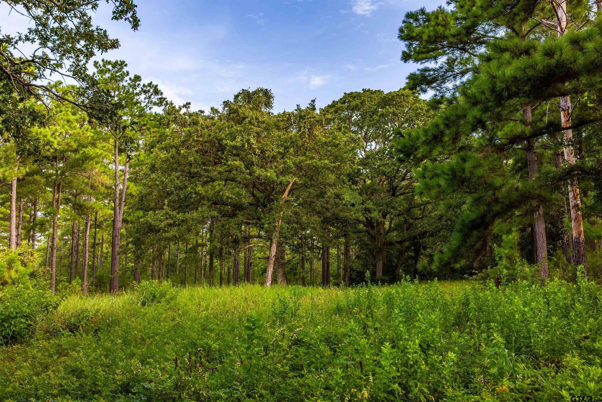 52.5 acres in Henderson County - photo 20