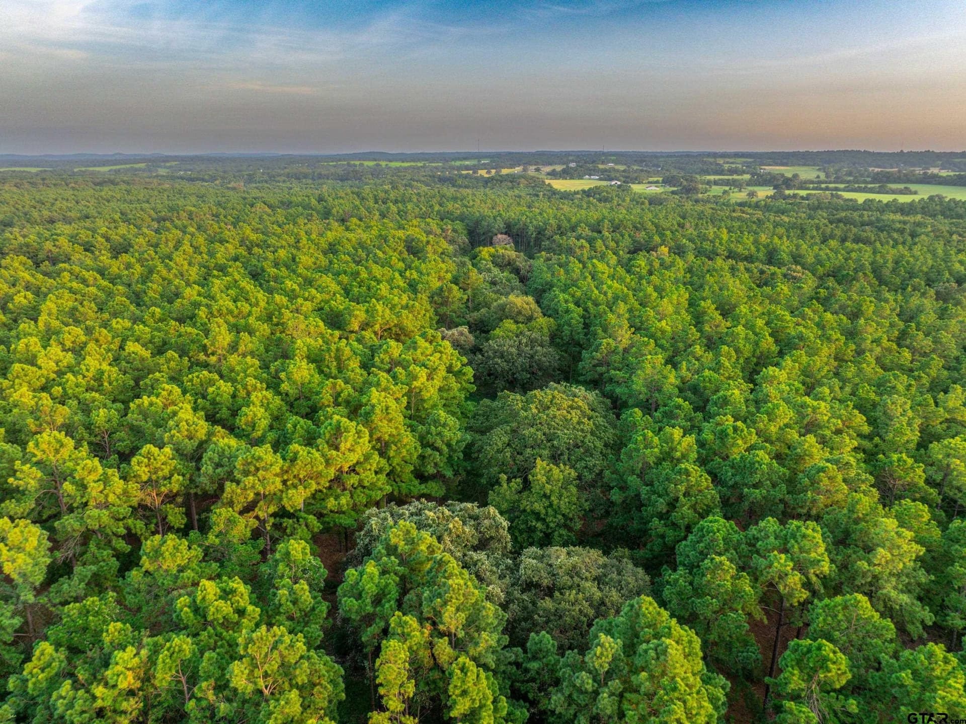 52.5 acres in Henderson County - photo 23
