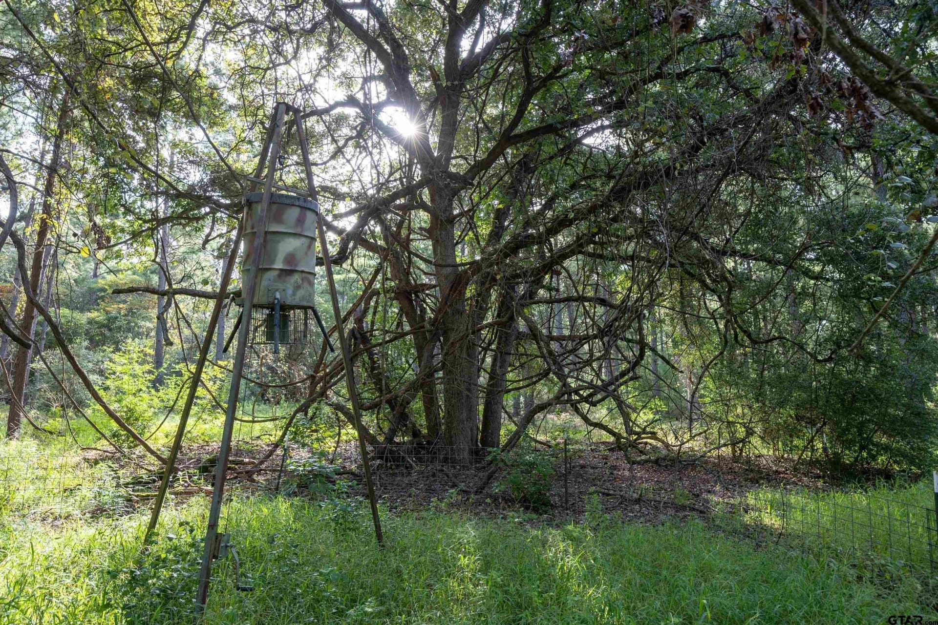 52.5 acres in Henderson County - photo 9