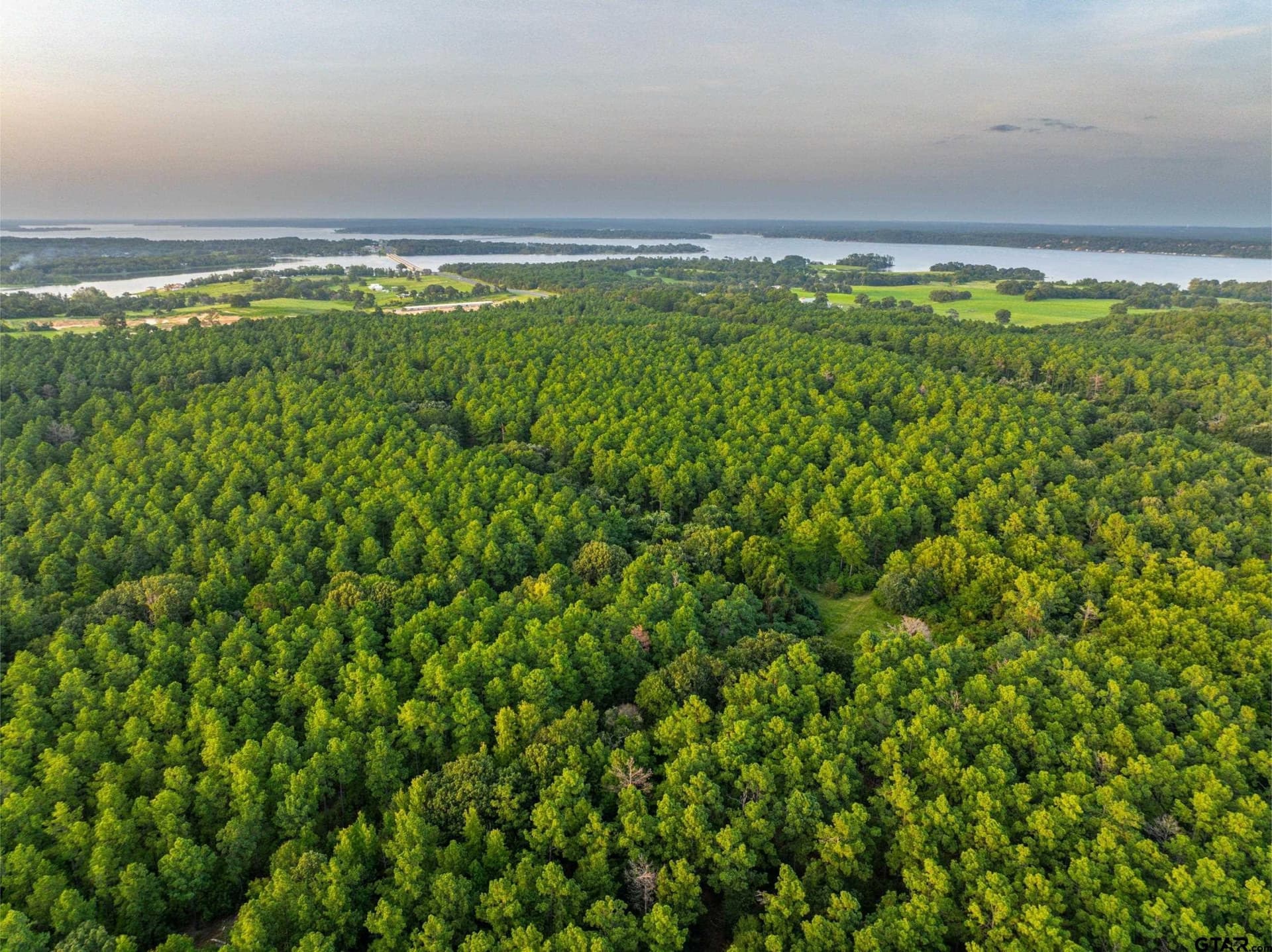 52.5 acres in Henderson County